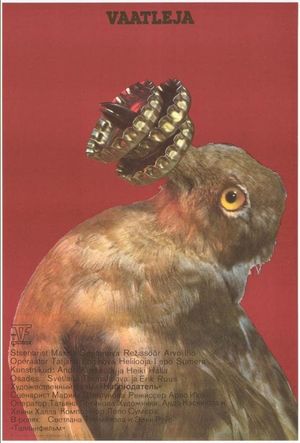 The Birdwatcher's poster
