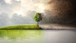 Before the Flood's poster