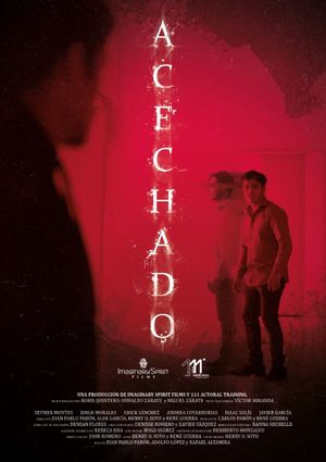 Acechado's poster