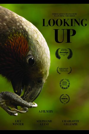 Looking Up's poster