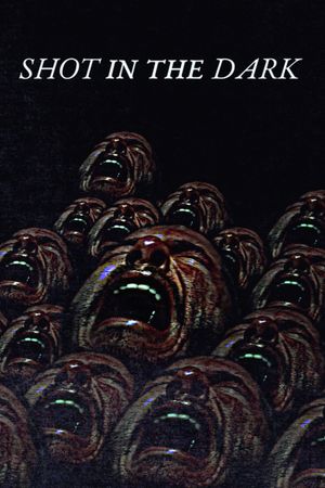 Shot in the Dark's poster