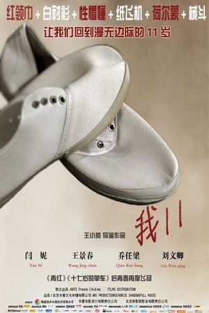 11 Flowers's poster