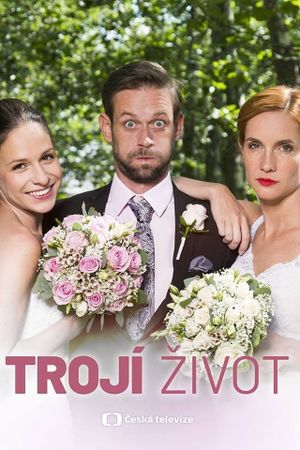 Double Trouble's poster