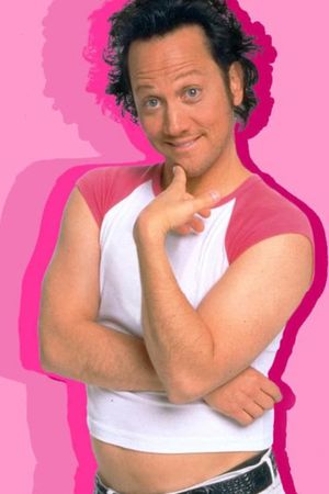 The Hot Chick's poster
