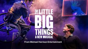 The Little Big Things's poster