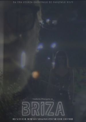 Briza's poster