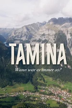 Tamina – Will There Ever Be What Used to Be?'s poster