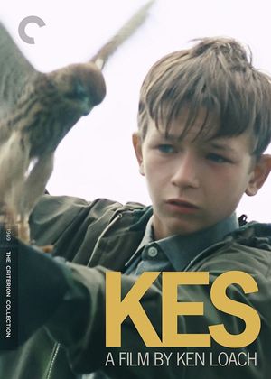 Kes's poster
