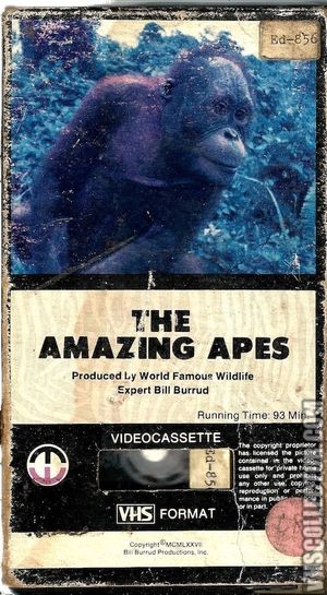 The Amazing Apes's poster