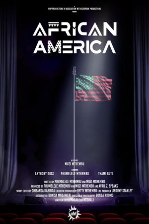 African America's poster