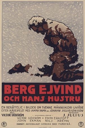 The Outlaw and His Wife's poster