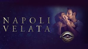 Naples in Veils's poster