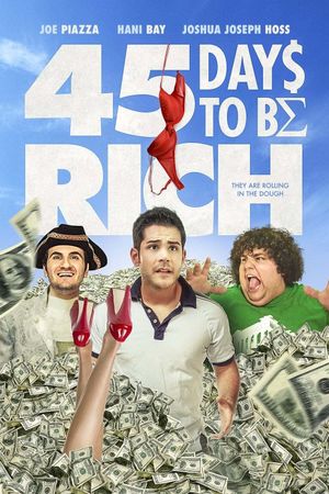 45 Days to Be Rich's poster