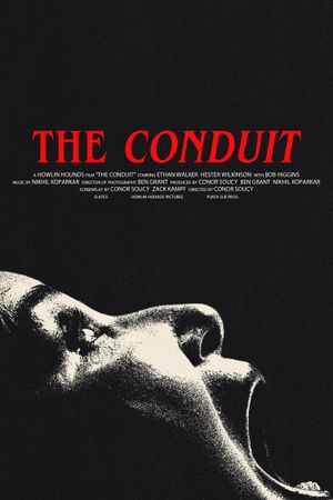 The Conduit's poster image