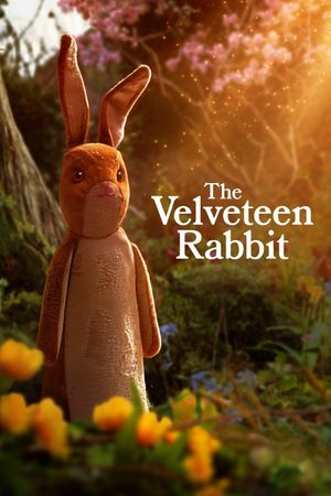 The Velveteen Rabbit's poster