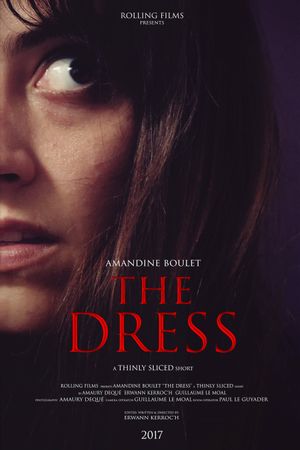 The Dress's poster image