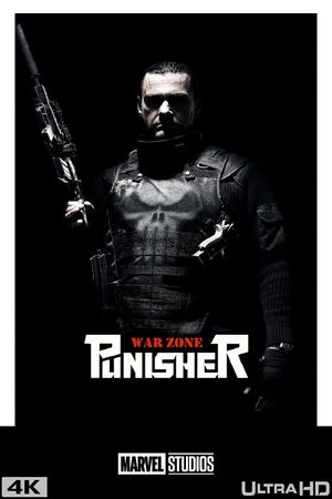 Punisher: War Zone's poster