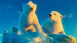 The Polar Bears's poster