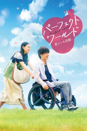 Perfect World's poster