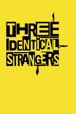 Three Identical Strangers's poster