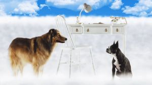 Best Friend from Heaven's poster