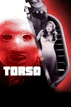 Torso's poster