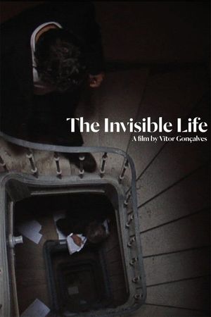 The Invisible Life's poster
