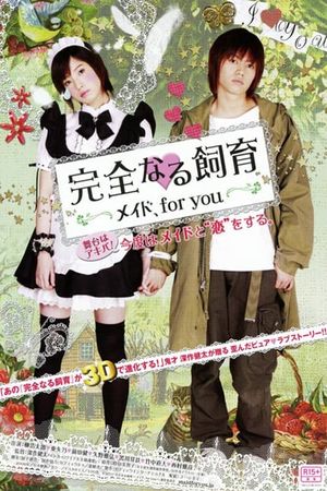 Perfect Education: Maid, for You's poster