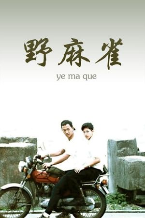 Too Young's poster image