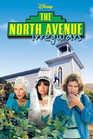 The North Avenue Irregulars's poster