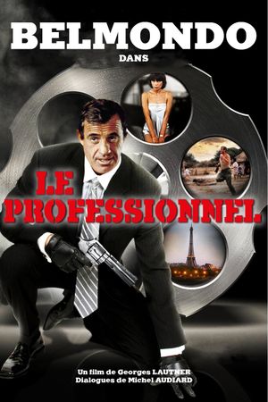 The Professional's poster