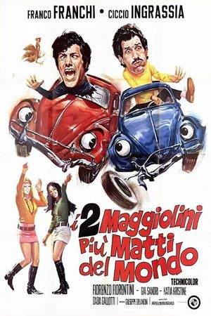 I due maggiolini più matti del mondo's poster