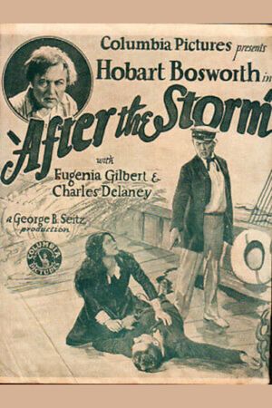 After the Storm's poster
