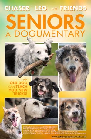 Seniors, a dogumentary's poster