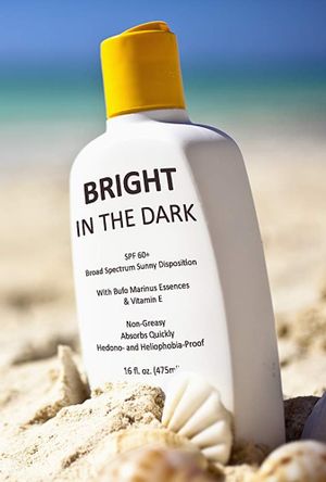 Bright in the Dark's poster image