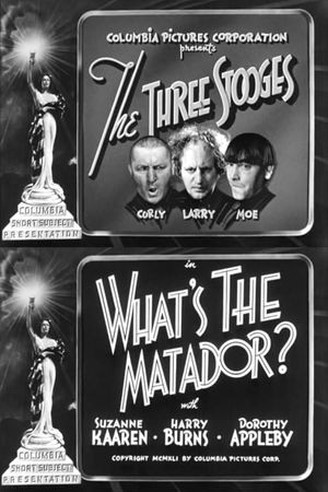 What's the Matador?'s poster