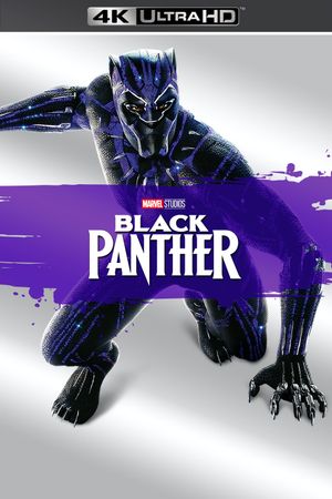 Black Panther's poster