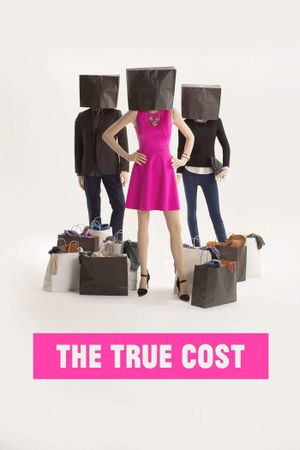 The True Cost's poster