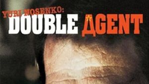 Double Image's poster