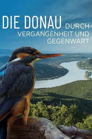 Die Donau – Durch Vergangenheit und Gegenwart's poster