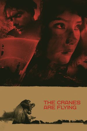The Cranes Are Flying's poster