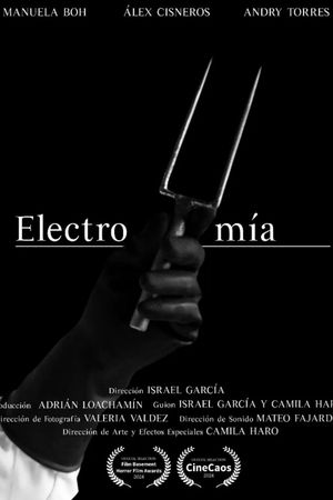 Electromía's poster