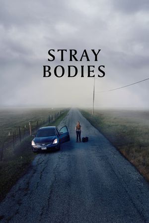 Stray Bodies's poster