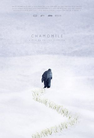 Chamomile's poster