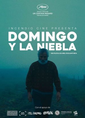 Domingo and the Mist's poster