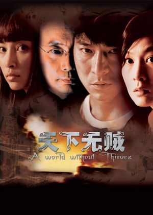 A World Without Thieves's poster