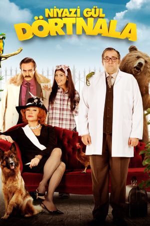 Niyazi Gül: Dörtnala's poster