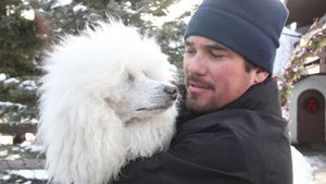 The Dog Who Saved Christmas Vacation's poster