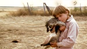 The Boy Who Talked to Badgers's poster