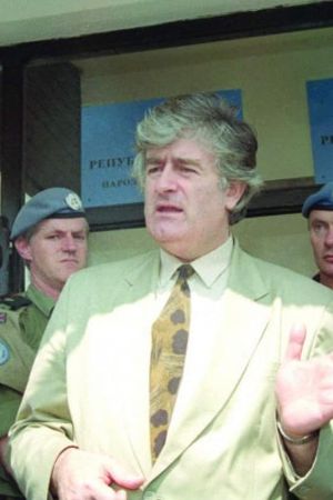 Life and Deeds of Radovan Karadzic's poster